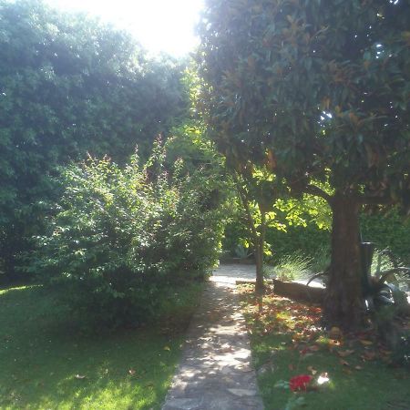 Villa Emma I Lecci Quiesa ภายนอก รูปภาพ